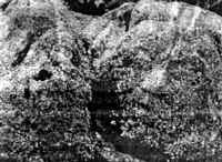 Кочкаровская каменная баба
