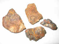 Фрагменты предполагаемого метеорита