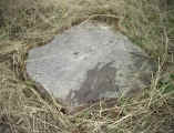 _exp0504_06.jpg (96463 bytes)
