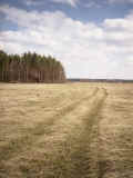 _exp0504_13.jpg (78948 bytes)