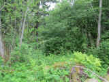 _exp0526_21.jpg (190385 bytes)