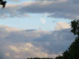 _exp0526_47.jpg (40953 bytes)